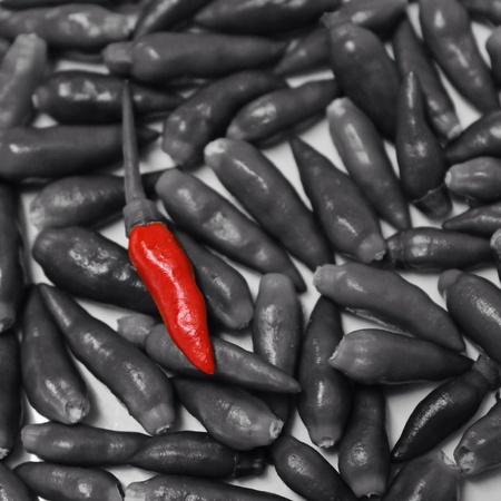 red chilliesの素材