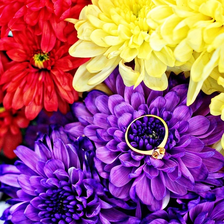 Flower and ringの素材