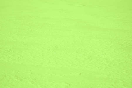 Abstract colored background. Colored olive snow texture as background.の写真素材