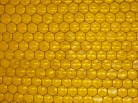 Honeycomb. Geometric, closeup. Yellow Honey cells texture background. Concept of beekeeping.の写真素材