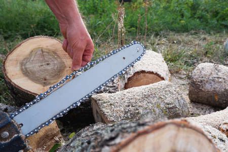 Checking and adjusting the chain tension of the chain saw. A worker checks the tension of the saw chain against a background of sawn logs.の写真素材