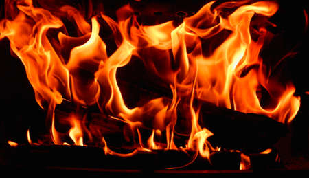 Hot, orange flames of burning wood in the fireplace. Fire dance on black background.の写真素材