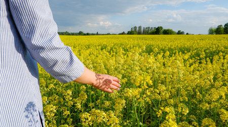 Back view of the girl against the background of a blooming rapeseed field. Happy young woman in a...