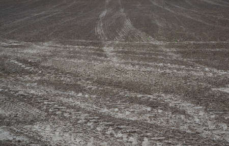 Tractor cultivated land. A field with traces of wheeled vehicles in early spring for sowing cereals.