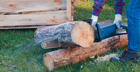 Close-up of woodcutter sawing chain saw. Chainsaw bar and cutt. Woodcutter saws tree with chainsaw on sawmillの写真素材