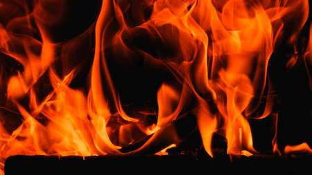 Fire. Fire texture. Burning wood in the fireplace. Close-Up Of Fire In The Dark. Burning wood logs in the fireplace close upの写真素材