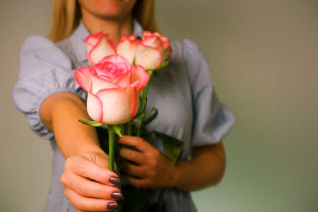 Woman in blue dress gives the man a delicate pink Rose Flower. Close-up view of hands with a rose....