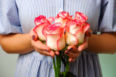 Woman in blue dress holding delicate pink Rose Flower in Hands. Closeup woman hands with white...