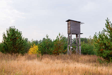 Autumn landscape with a hunting tower. Wooden observation tower at the edge of the autumn forest.の写真素材