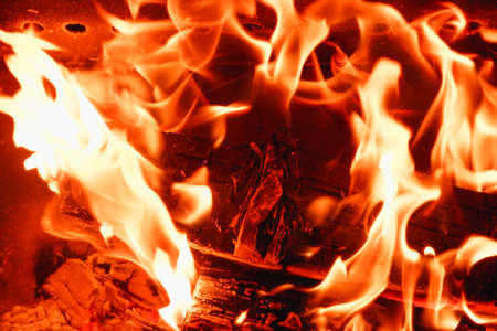 Firewood is burning in the fireplace. Close-up view of the fire. background. fire texture.