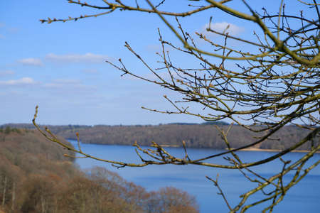 landscape in early spring. A beautiful lake surrounded by hills with trees without leaves. early spring. Spring landscape with trees by the lake.の写真素材