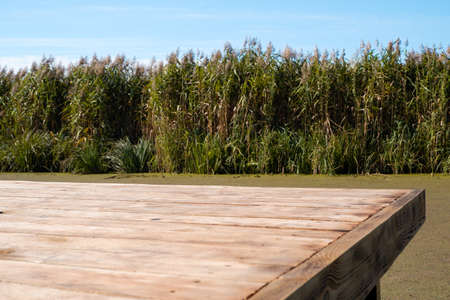 landscape. Wooden embankment pier for boats on the lake. Place for walking in the city park. cozy water landscape with a pier and promenade.の写真素材
