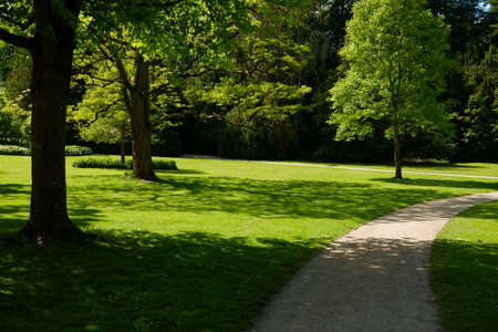 landscape. Green shady European city park. European park with shady alleys, a trimmed lawn,...