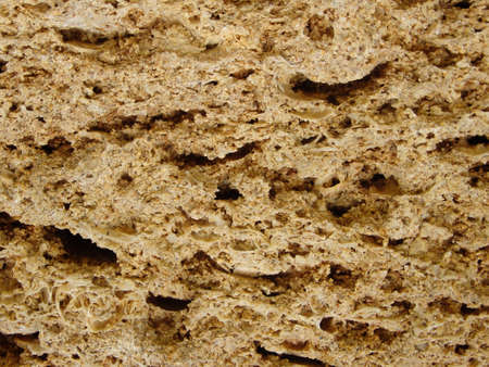 background texture of limestone stone surface. Shell limestone close-up as background. Shell...