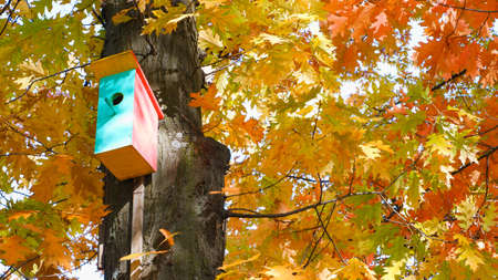 birdhouse in autumn park. Autumn Birdhouse. Colorful wooden birdhouse with a light orange on the...