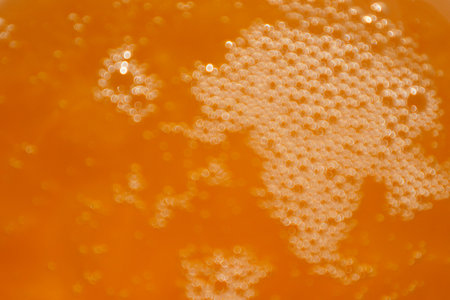 Honey, freshly poured, with air bubbles, suitable for texture or background. The texture of the honey. Healthy food concept. selective focus.の写真素材