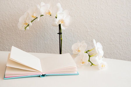 Paper note pad on white table with magnolia flowers. Holiday photography concept. Flower with open notebook on white tableの写真素材
