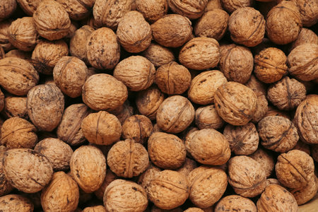 Walnuts in a shell. Background with many walnuts. Ripe walnut sold in the marketの写真素材