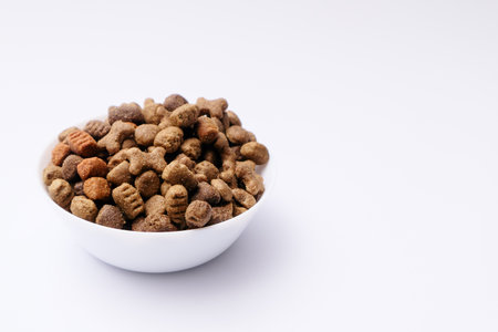 Dry dog food in a white bowl close-up on a white background. Cuisine for pets. Copy space.