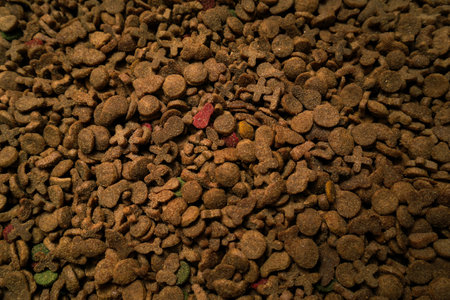 Dried cat food background. Cat food textures for backgroundsの写真素材