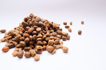 A slide of dry dog food on a white background. Heap of dry dog food on a white background. Pets foodの写真素材