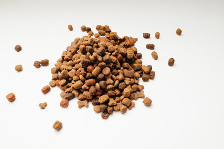 A slide of dry dog food on a white background. Heap of dry dog food on a white background. Pets foodの写真素材