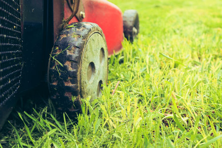 Lawnmover on on a grassy grass. A old red lawn mower mowing lush green grass.の写真素材