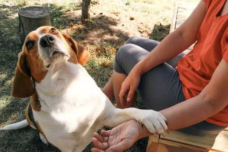 Young woman sitting on ground with dog. Woman playing with her dog in the park.