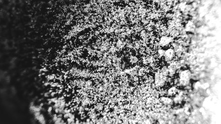 Close up of frost pattern. Colored Ice crystals or cold winter background. Abstract frosty pattern on glass, background textureの写真素材