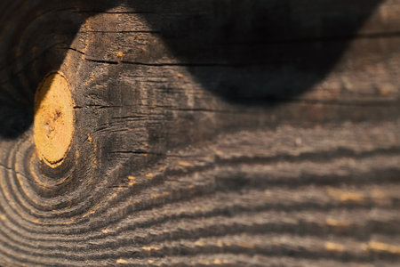 Old brown rustic dark grunge wooden background. Old wooden planksの写真素材