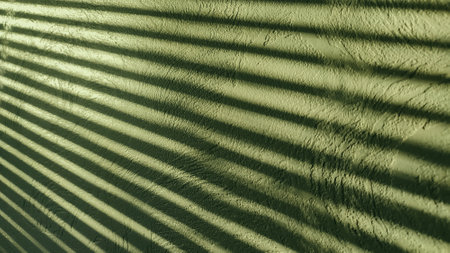Minimal abstract background with shadow. Beautiful texture smooth stucco wall with shadow reflection. Effect for overlaying a photo or mockupの写真素材