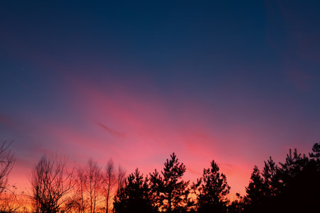 A vibrant sunset over a forest landscape, colorful composition with burning sky effect. A striking sunset sky glows in deep orange and red hues,の写真素材
