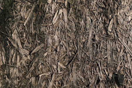 Old chipboard panels texture. Background photography of old grunge oriented strand board, weathered wood. Dirty old grunge and rough backdrop.の写真素材