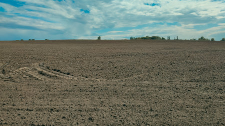 Sowing on agricultural field in spring. A plowed south field in spring. Agricultural landscape near a farm, a plowed field in the countryside.の写真素材