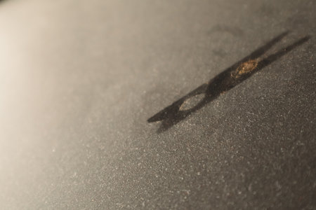 White micro dust on black background. Texture grunge background with tiny white dust. Home cleaning...