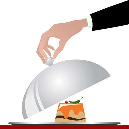 Gourmet cuisine on a silver plateのイラスト素材