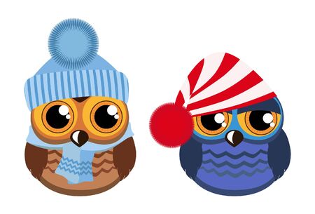 Two funny owls on whiteのイラスト素材