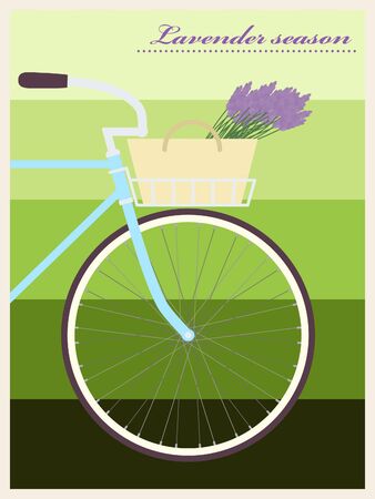 Bicycle with lavender in basket. Poster in vintage style. Vector illustration.のイラスト素材