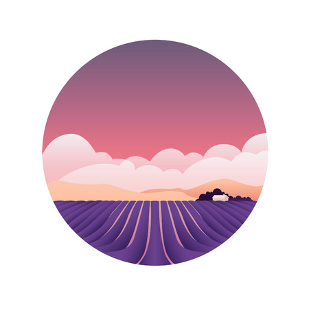 Lavender fields, small house, Provence, France Spring and summerのイラスト素材