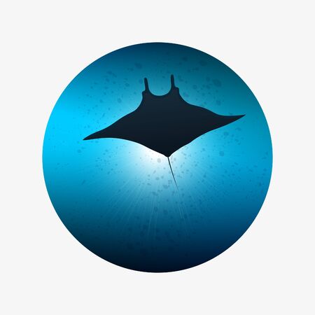 Underwater life. Big manta ray in ocean water.のイラスト素材