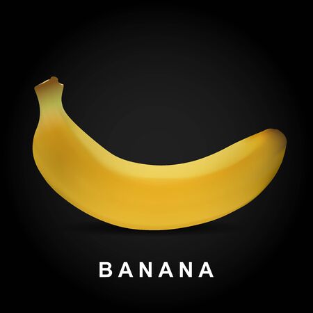 Big yellow isolated banana. Fruit vector illustration.の写真素材