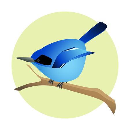 Colorful blue bird on a branch. Side profile. Exotic fauna.のイラスト素材