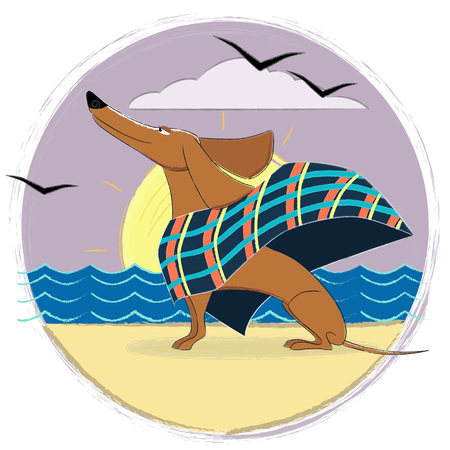 Brown Dachshund dog sitting on a sand beach and looking at the sea.の写真素材