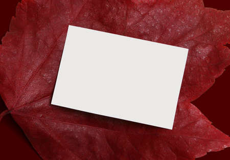 Empty ad or message space with a rich autumn backgroundの写真素材