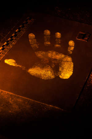 True fluorescence fingerprint with ruler.の写真素材