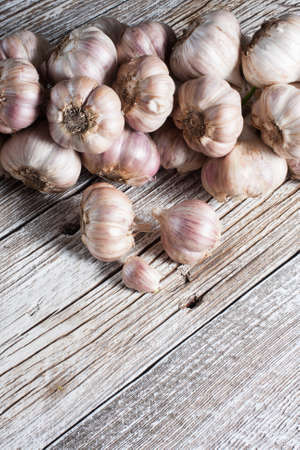Fresh whole garlic bound in a plait.の写真素材