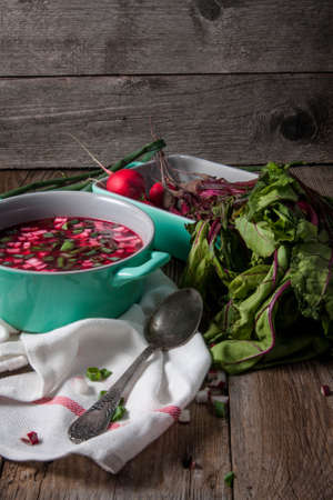 Beetroot soup with chives and radishes on the boards.の写真素材