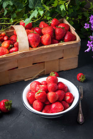Bowl of fresh harvested strawberries. Basket of strawberries and ivy in the backgroundの写真素材