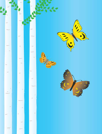 Birch and flying colorful butterflies. Vector illustrationのイラスト素材