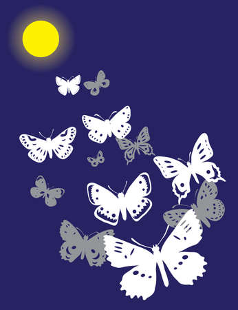 Butterflies flying in light of the moon. Vector illustrationのイラスト素材